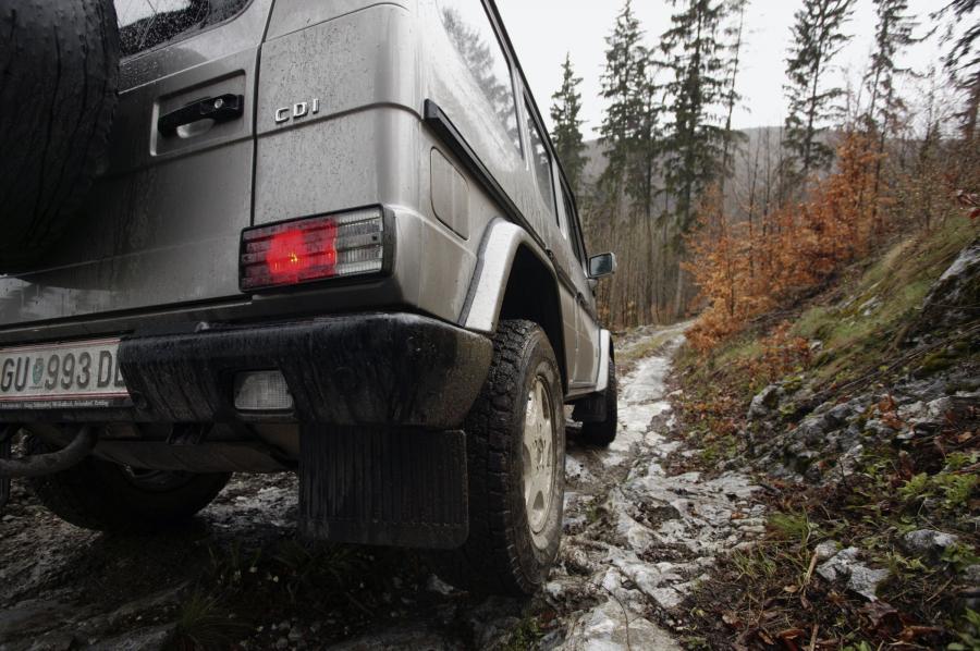  Mercedes-Benz G-Class 1990 года  (фото 184 из 260)